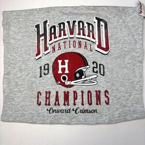 Harvard University National Champions 1920 Tube Top Heather Gray Medium NWT